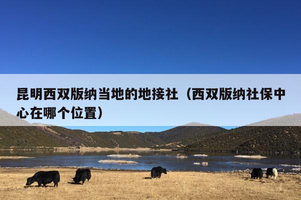 昆明西双版纳当地的地接社（西双版纳社保中心在哪个位置）
