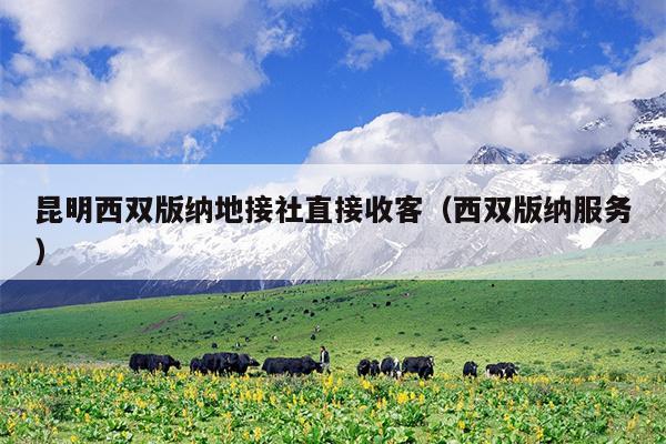昆明西双版纳地接社直接收客（西双版纳服务）