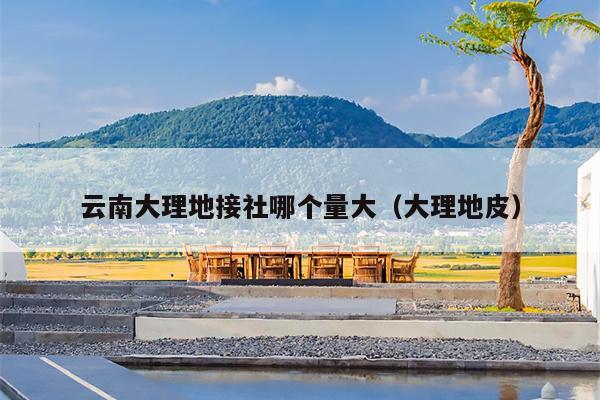 云南大理地接社哪个量大（大理地皮）