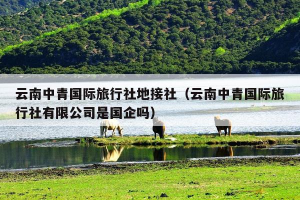 云南中青国际旅行社地接社（云南中青国际旅行社有限公司是国企吗）