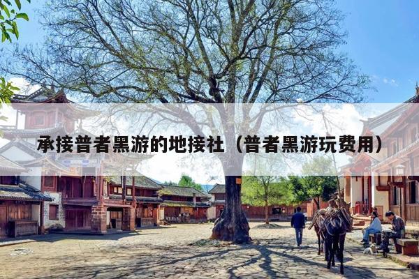 承接普者黑游的地接社（普者黑游玩费用）