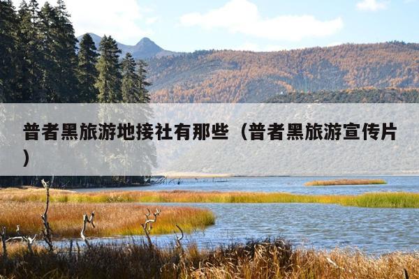 普者黑旅游地接社有那些（普者黑旅游宣传片）