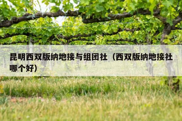 昆明西双版纳地接与组团社（西双版纳地接社哪个好）