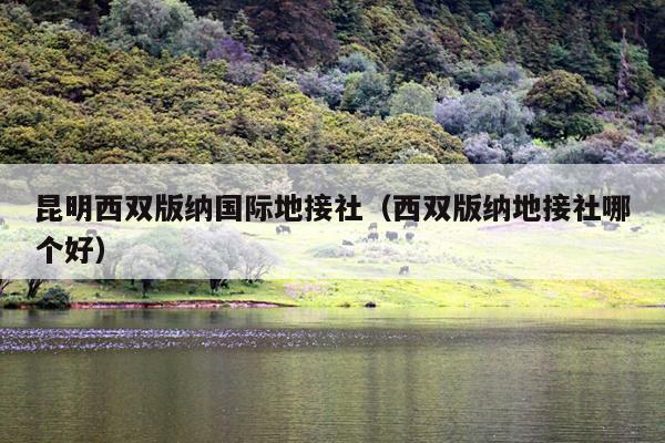 昆明西双版纳国际地接社（西双版纳地接社哪个好）