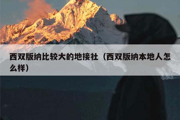 西双版纳比较大的地接社（西双版纳本地人怎么样）