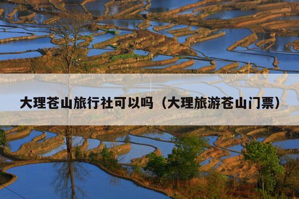 大理苍山旅行社可以吗（大理旅游苍山门票）