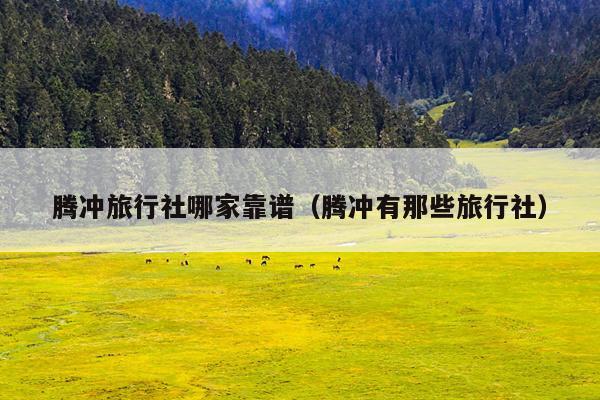 腾冲旅行社哪家靠谱（腾冲有那些旅行社）