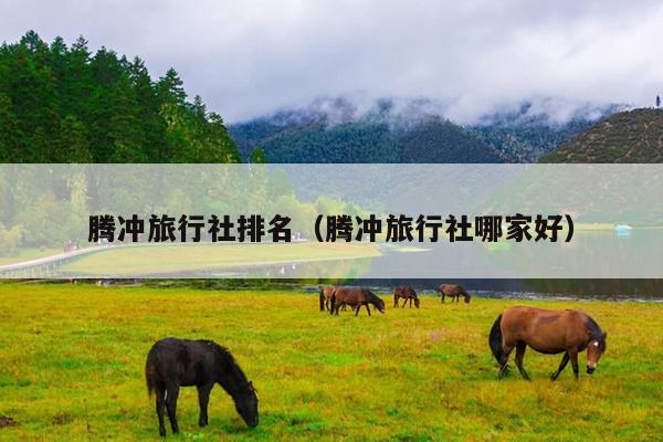 腾冲旅行社排名（腾冲旅行社哪家好）