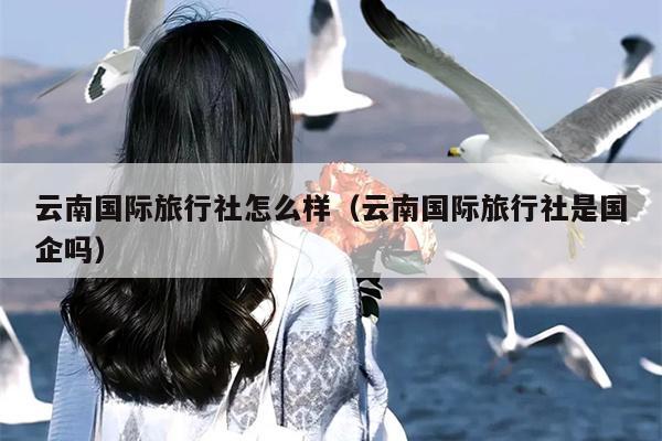 云南国际旅行社怎么样(云南国际旅行社是国企吗)