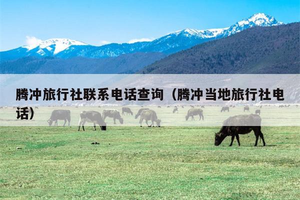 腾冲旅行社联系电话查询（腾冲当地旅行社电话）