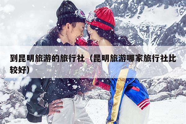 到昆明旅游的旅行社（昆明旅游哪家旅行社比较好）