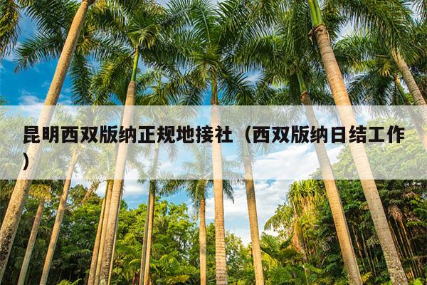 昆明西双版纳正规地接社（西双版纳日结工作）