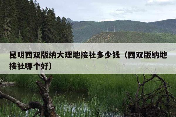昆明西双版纳大理地接社多少钱（西双版纳地接社哪个好）