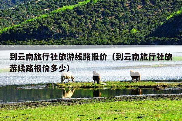 到云南旅行社旅游线路报价(到云南旅行社旅游线路报价多少)