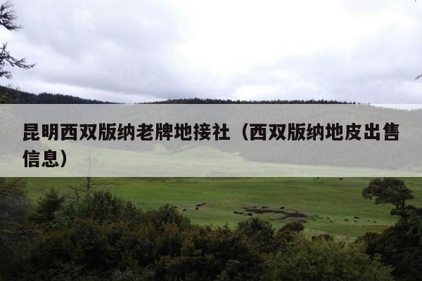 昆明西双版纳老牌地接社（西双版纳地皮出售信息）