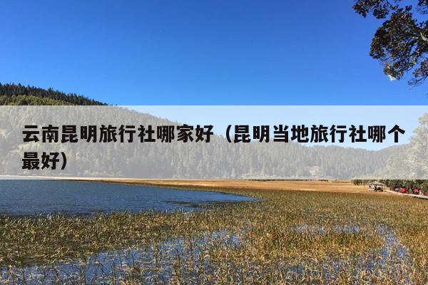 云南昆明旅行社哪家好(昆明当地旅行社哪个最好)
