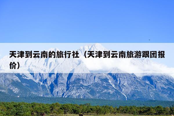 天津到云南的旅行社(天津到云南旅游跟团报价)