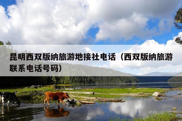 昆明西双版纳旅游地接社电话（西双版纳旅游联系电话号码）