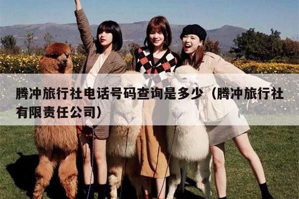 腾冲旅行社电话号码查询是多少（腾冲旅行社有限责任公司）