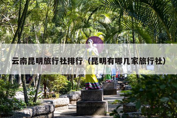 云南昆明旅行社排行（昆明有哪几家旅行社）