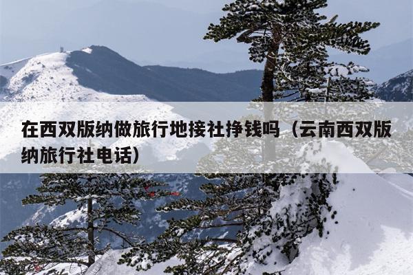 在西双版纳做旅行地接社挣钱吗（云南西双版纳旅行社电话）