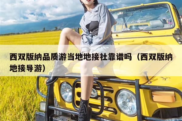 西双版纳品质游当地地接社靠谱吗（西双版纳地接导游）