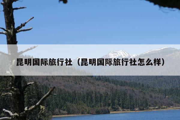 昆明国际旅行社（昆明国际旅行社怎么样）