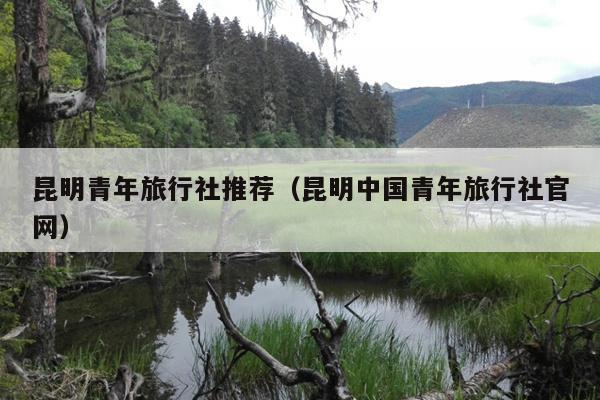 昆明青年旅行社推荐（昆明中国青年旅行社官网）