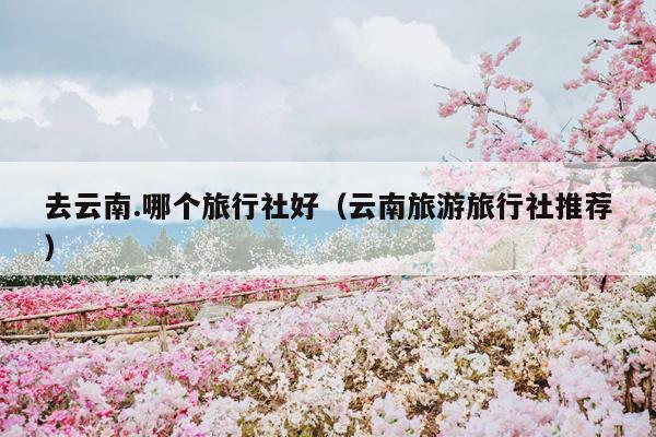 去云南.哪个旅行社好(云南旅游旅行社推荐)
