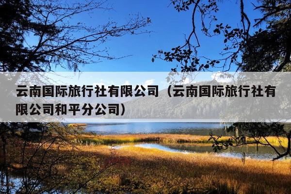云南国际旅行社有限公司(云南国际旅行社有限公司和平分公司)