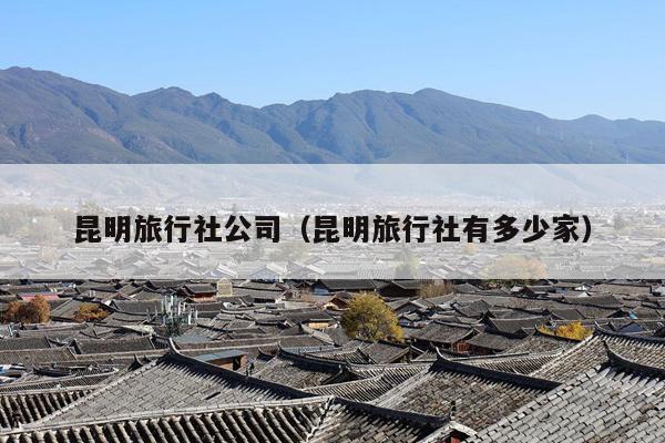 昆明旅行社公司（昆明旅行社有多少家）