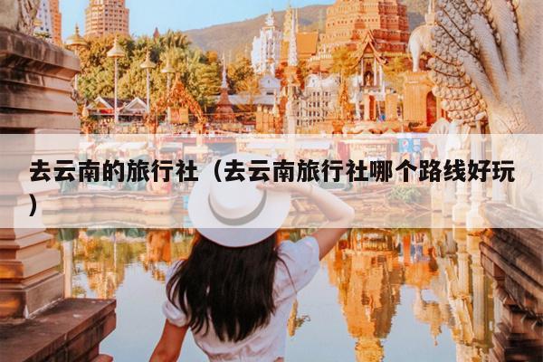 去云南的旅行社(去云南旅行社哪个路线好玩)