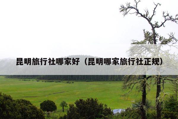 昆明旅行社哪家好（昆明哪家旅行社正规）