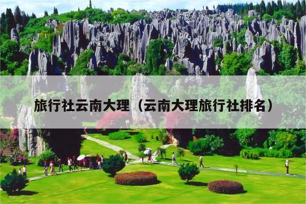 旅行社云南大理（云南大理旅行社排名）