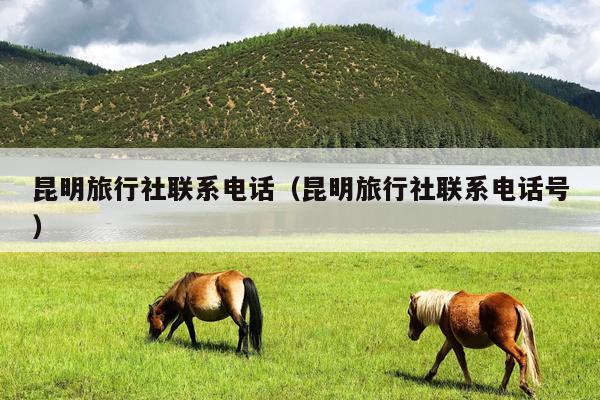 昆明旅行社联系电话（昆明旅行社联系电话号）