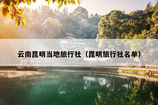 云南昆明当地旅行社（昆明旅行社名单）