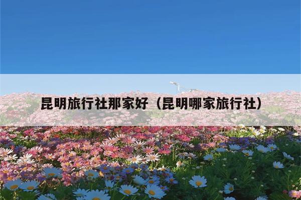 昆明旅行社那家好（昆明哪家旅行社）