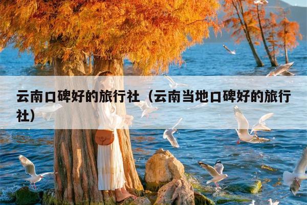 云南口碑好的旅行社(云南当地口碑好的旅行社)
