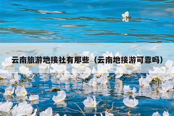 云南旅游地接社有那些（云南地接游可靠吗）