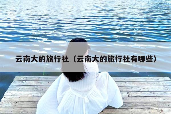 云南大的旅行社（云南大的旅行社有哪些）