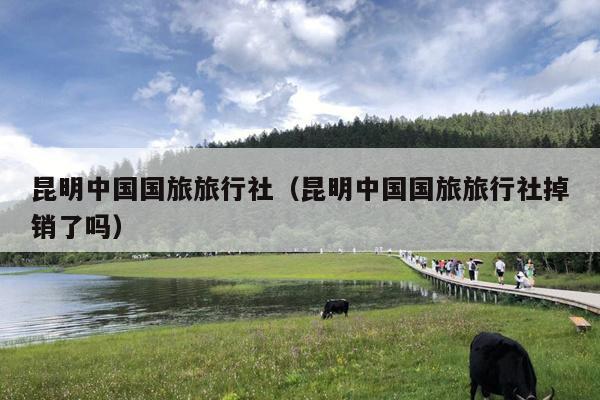 昆明中国国旅旅行社（昆明中国国旅旅行社掉销了吗）