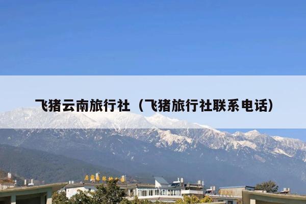 飞猪云南旅行社(飞猪旅行社联系电话)