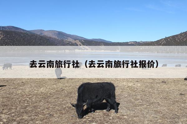 去云南旅行社(去云南旅行社报价)