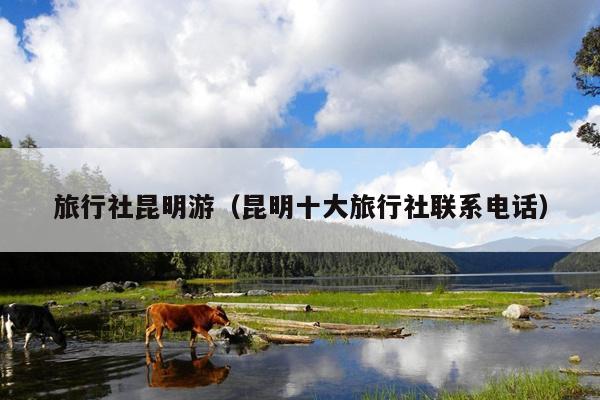旅行社昆明游（昆明十大旅行社联系电话）
