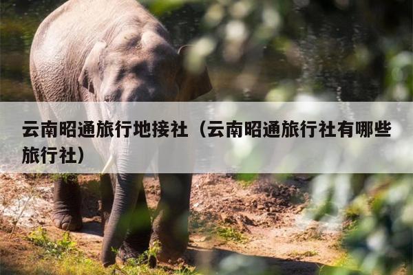 云南昭通旅行地接社（云南昭通旅行社有哪些旅行社）