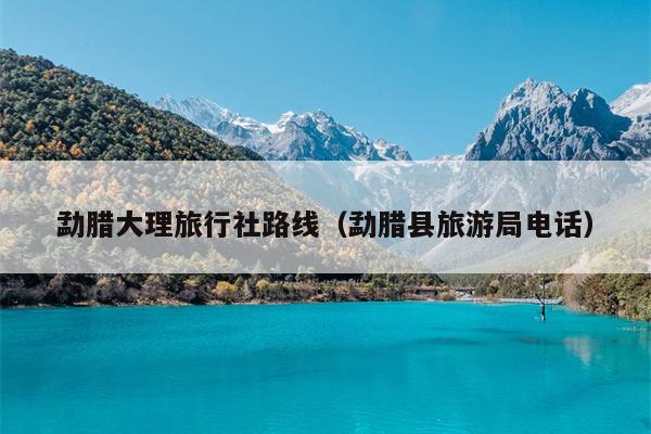 勐腊大理旅行社路线（勐腊县旅游局电话）