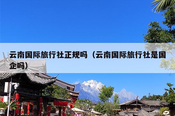 云南国际旅行社正规吗(云南国际旅行社是国企吗)