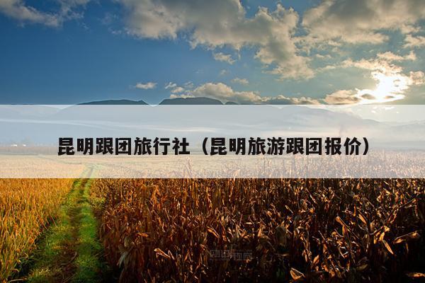 昆明跟团旅行社（昆明旅游跟团报价）