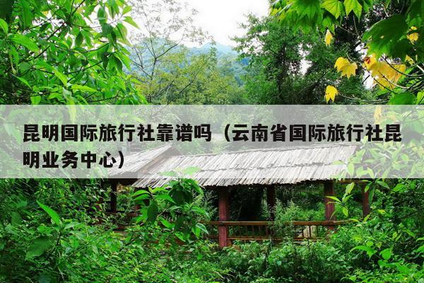 昆明国际旅行社靠谱吗（云南省国际旅行社昆明业务中心）