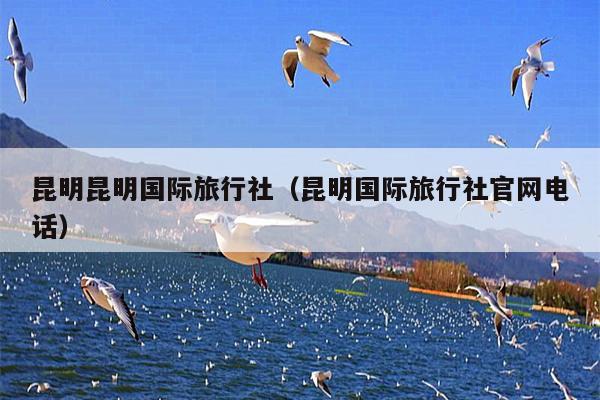 昆明昆明国际旅行社（昆明国际旅行社官网电话）